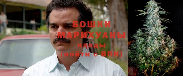 ГАЛЛЮЦИНОГЕННЫЕ ГРИБЫ Бугульма