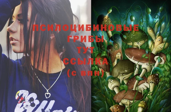 МДПВ Волоколамск