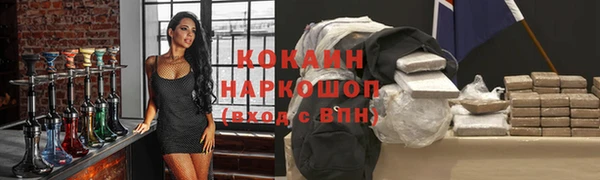 PSILOCYBIN Волосово
