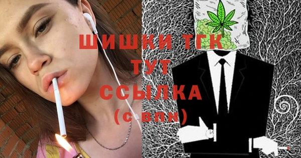 МДПВ Волоколамск