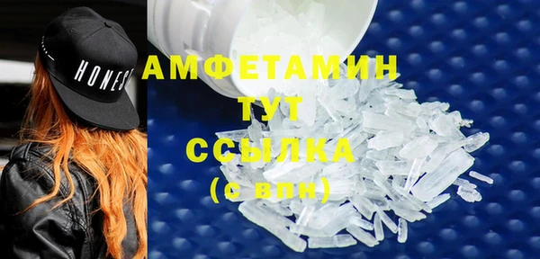 PSILOCYBIN Волосово
